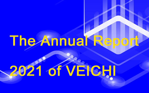 Il Rapporto Annuale 2021 di VEICHI
